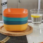 10 PIECES CREATIVE PLATE SET | Elegant Unbreakable Bone Dish - Image 6